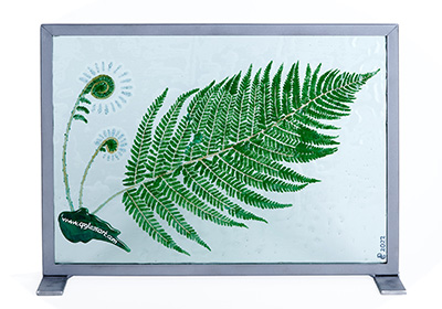 Fern 2: 50 x 30 cm (w x h) 