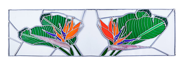 Strelitzia Skylight 91 x 1 x 25 cm (W x D x H) 